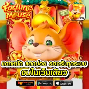 ไทเกอร์24 เข้าสู่ระบบ